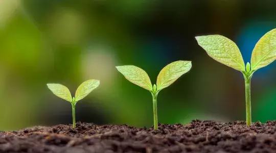 Semaine du développement durable
